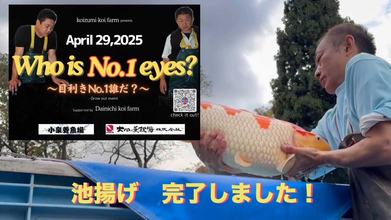 【Who is No.1 eyes?】池揚げしました！！