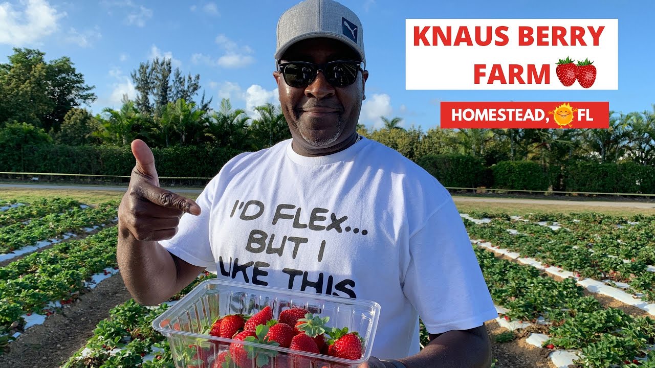 KNAUS BERRY FARM| HOMESTEAD, FLORIDA