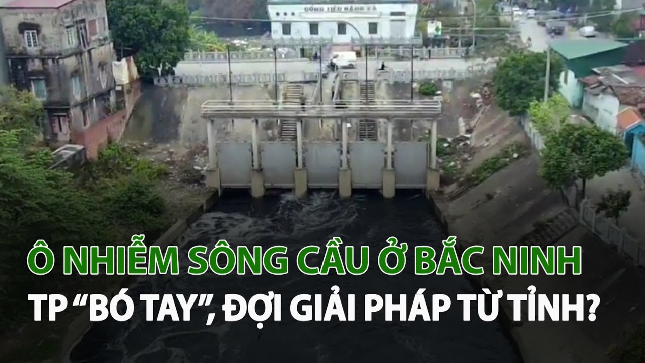 Ô nhiễm Sông Cầu ở Bắc Ninh TP “Bó tay”, đợi giải pháp từ Tỉnh?| VTC14