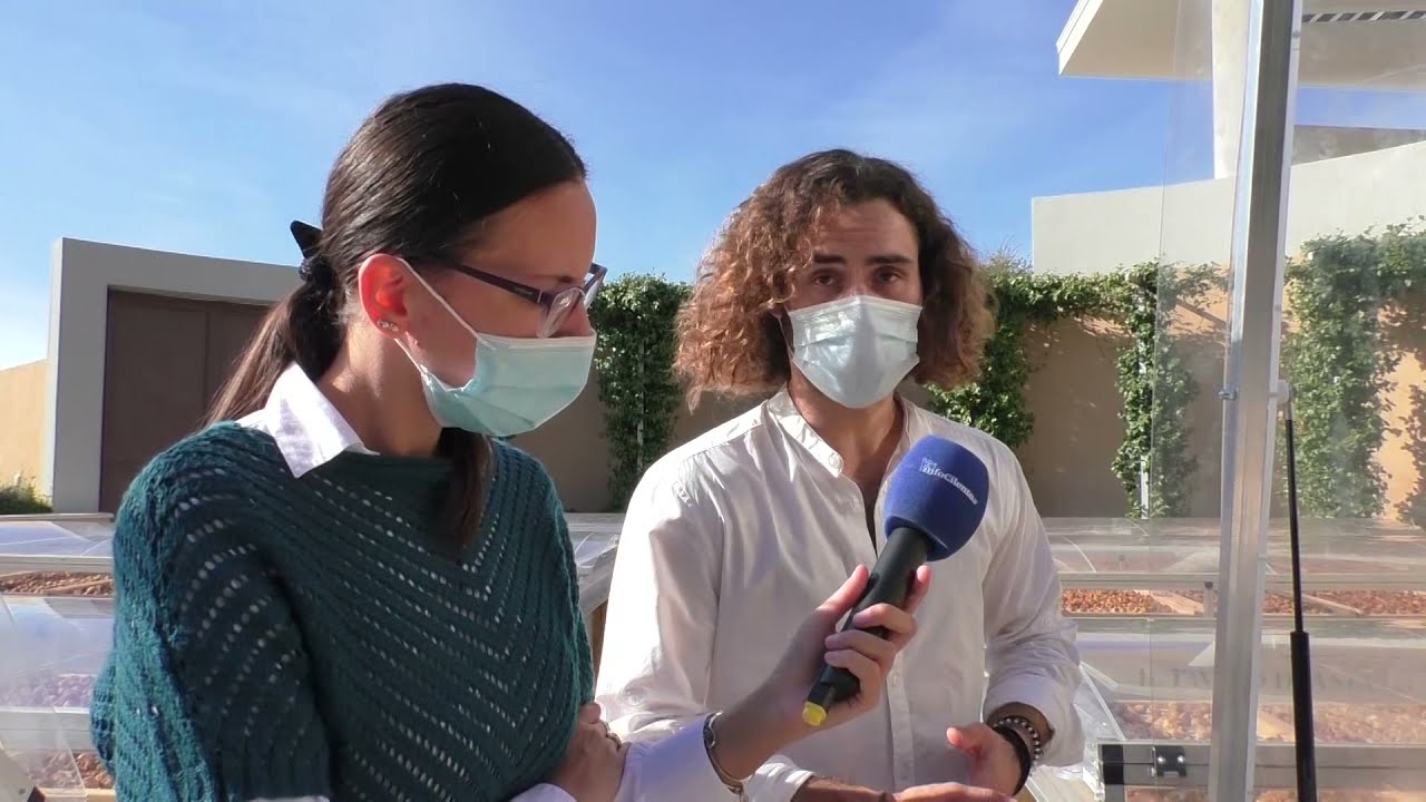 La lavorazione dei fichi del Cilento