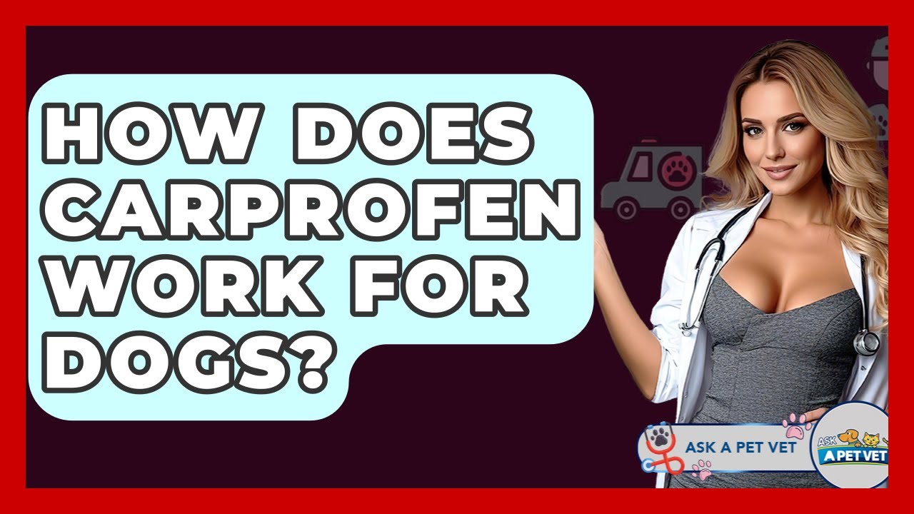 How Does Carprofen Work For Dogs? - Ask A Pet Vet