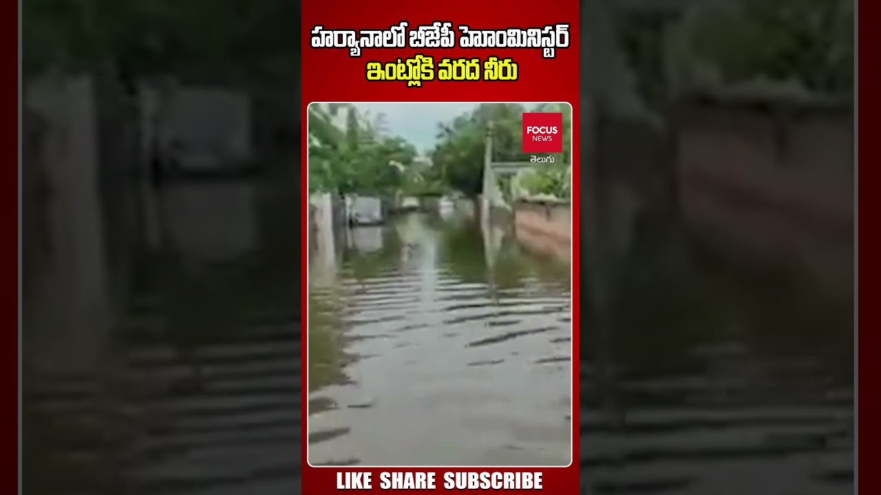 Haryana Weather Report 14 July 2023 Hisar Weather Today | Focus News Telugu