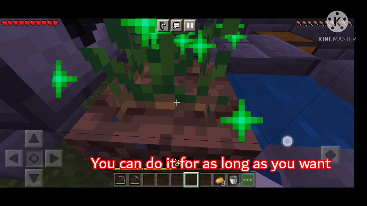 Minecraft autogrower for bedrock edition