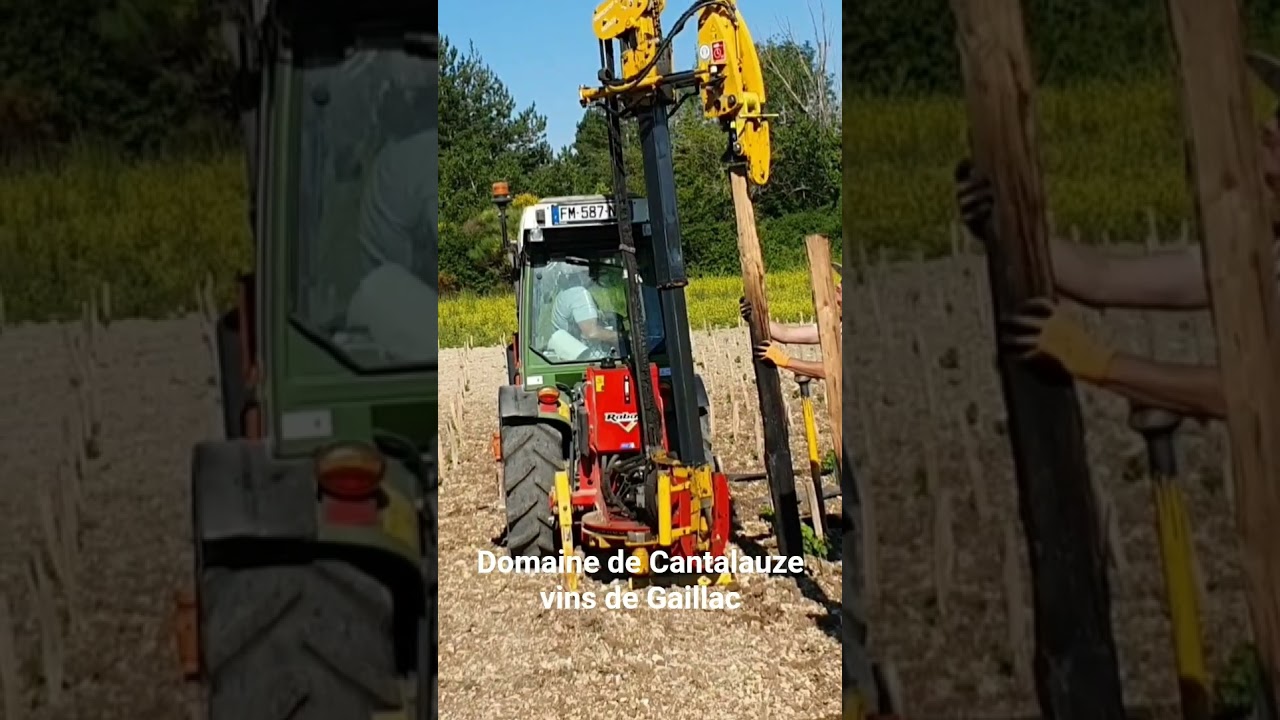 Domaine de Cantalauze | vins de Gaillac Cahuzac sur V&egrave;re, Tarn #domainedecantalauze#cantalauze