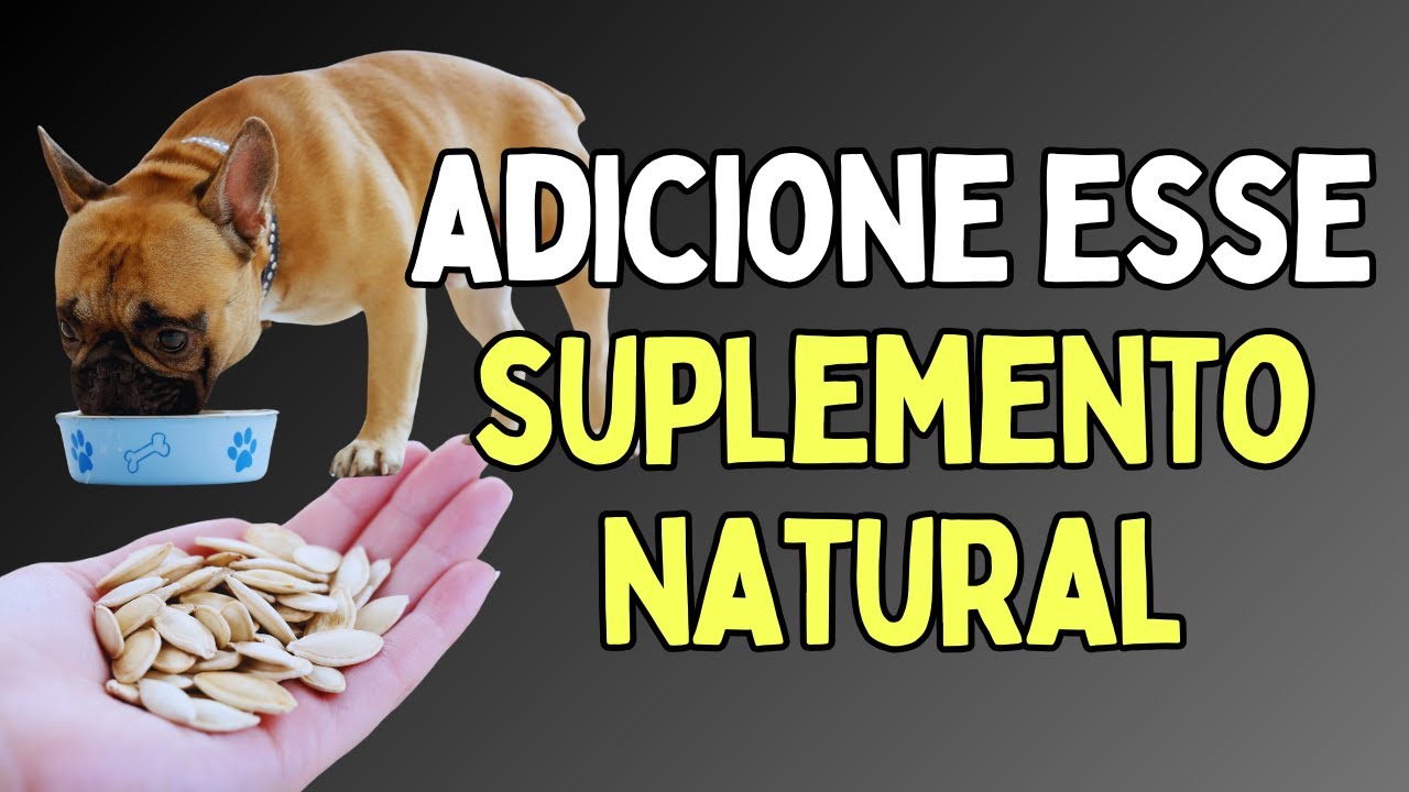 Dê Semente de Abóbora para Seu Cachorro e Veja o Que Acontece!