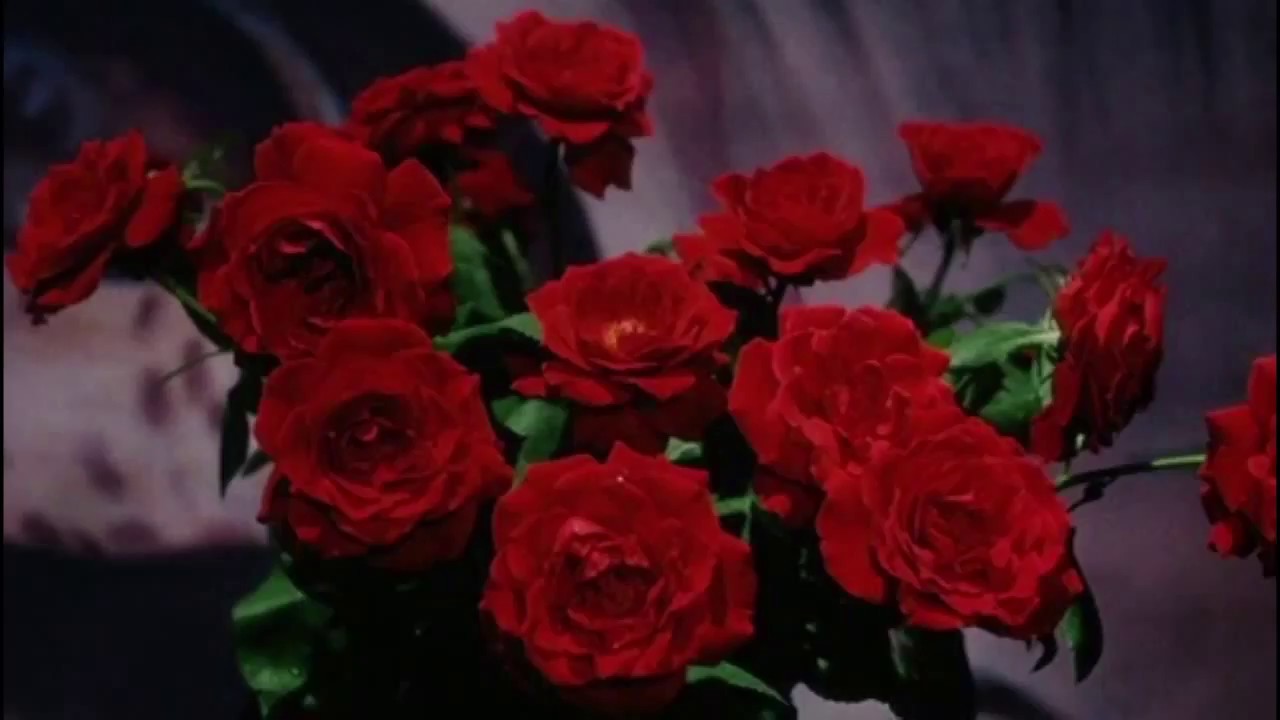 ali gatie - can't lie (slowed + reverb)