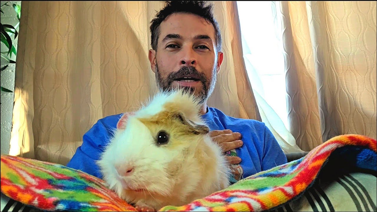 Crazy Surprise at the Shelter!