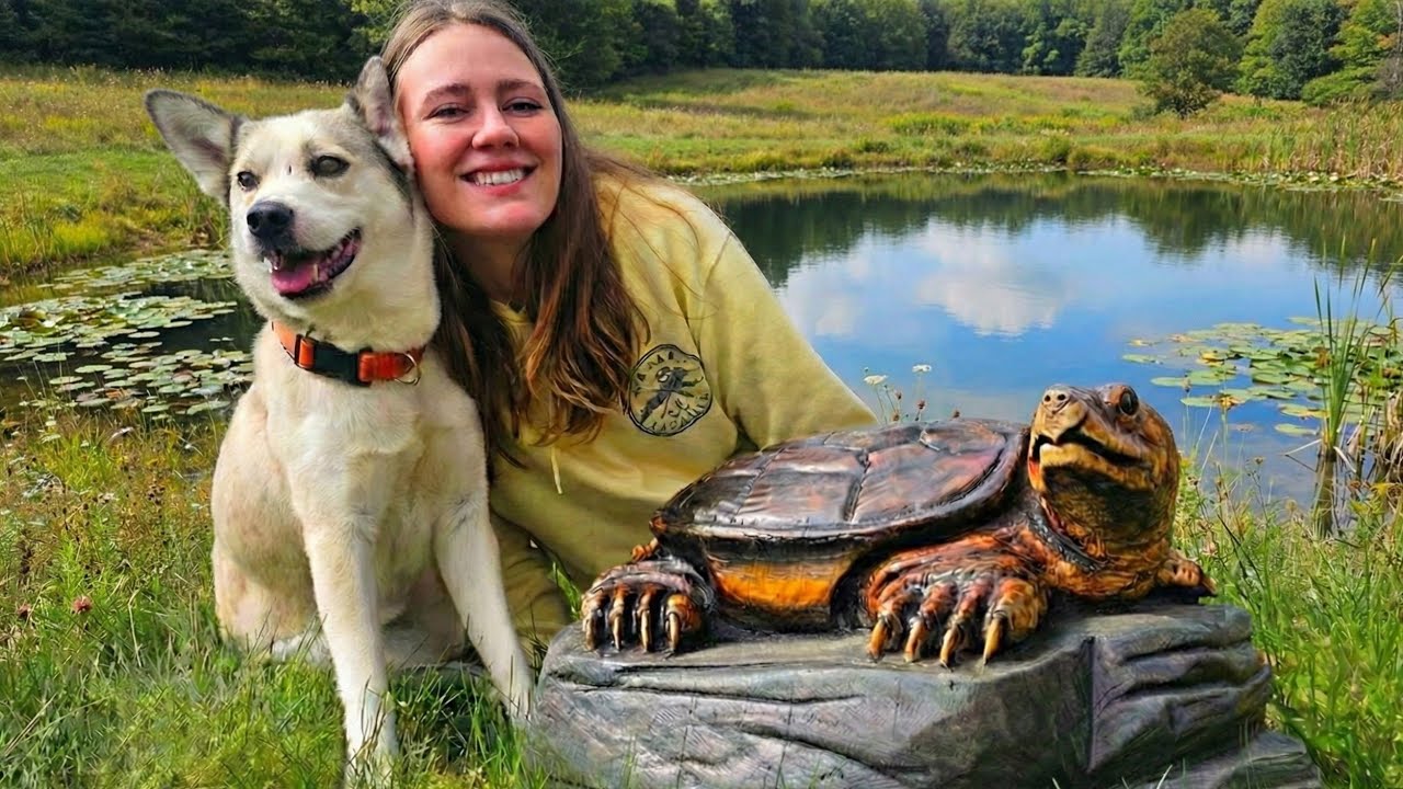 Turning a Log into a Snapping Turtle
