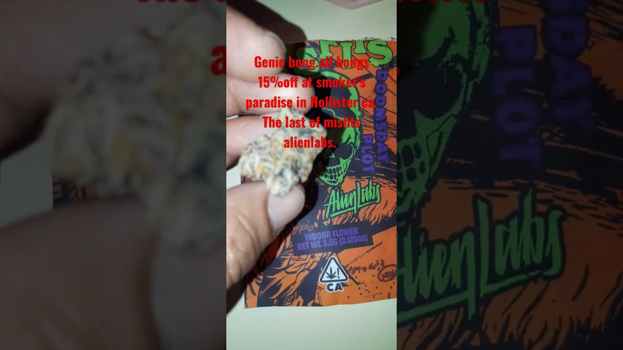 genie bong review