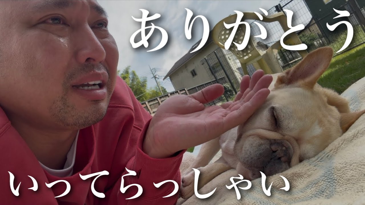 息を引き取る愛犬に感謝を伝えられる幸せ