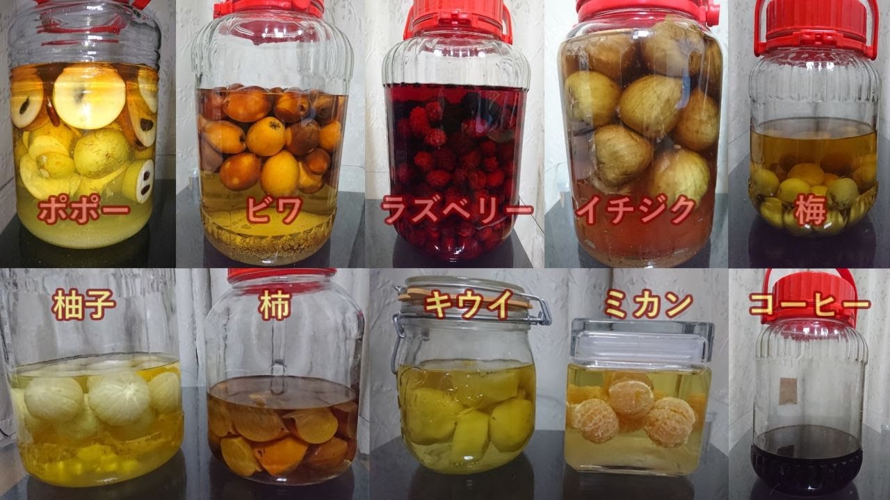 あらゆる果実酒を作って比較してみた