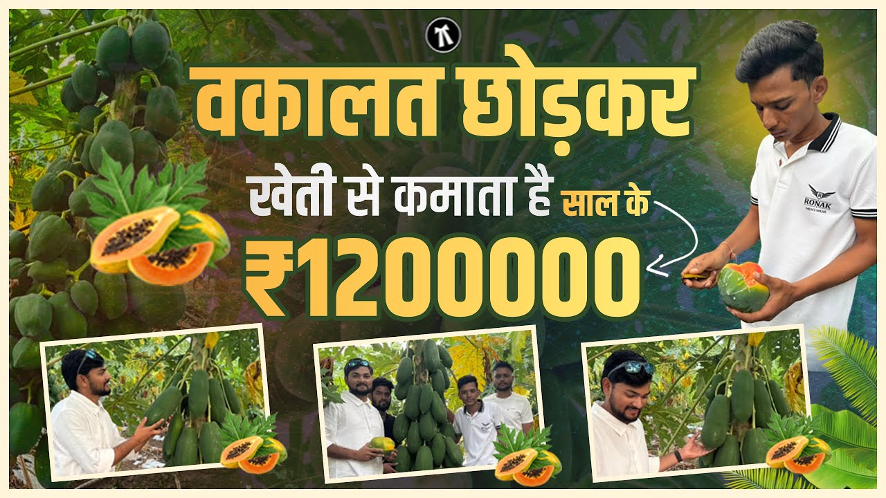 खेतों में सफलता की कहानी | Lawyer बना Successful Farmer | Ak Vlogs 🫒