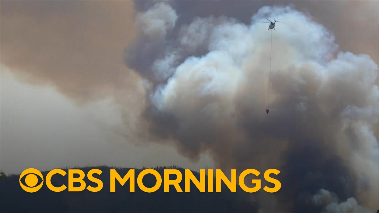 Massive wildfire in Utah expected to become most destructive in history of the state