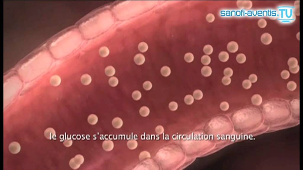 L'insuline, le glucose et vous