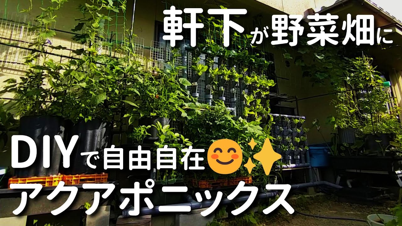 DIYアクアポニックスでデッドスペースを有効活用！ アクアポニックスを自作すると狭い土地でも野菜がたくさん育ちます【自作システム／有機水耕栽培／田舎暮らし／vlog】