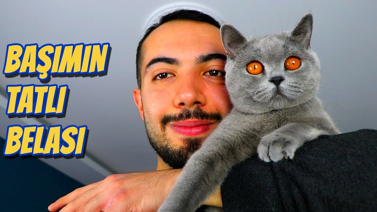 KEDİM KIZGINLIĞA GİRDİ 🙀 (Yaygaracı Erkek Kardeş Hüsrev)