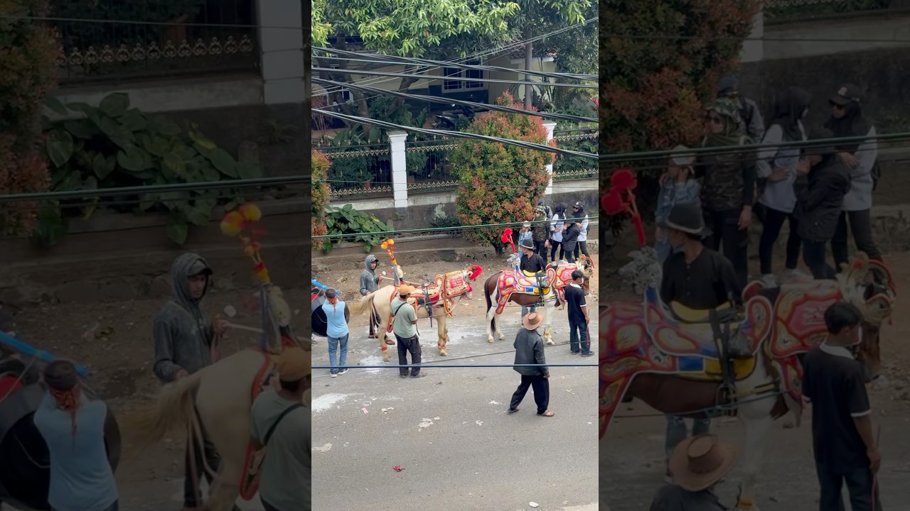Kuda renggong di karnaval cicalengka #umbasakha #karnaval #karnavalcicalengka #kemerdekaan