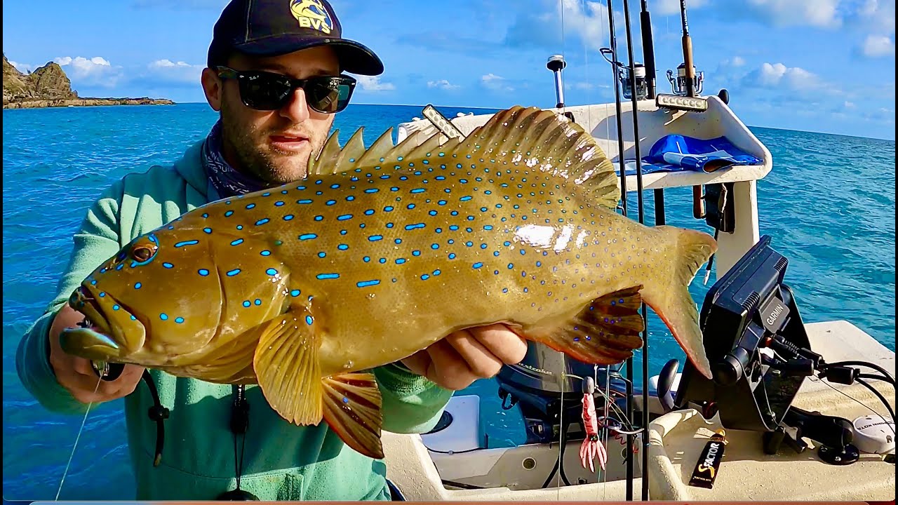 CORAL TROUT SESSION | STANAGE BAY PART 2