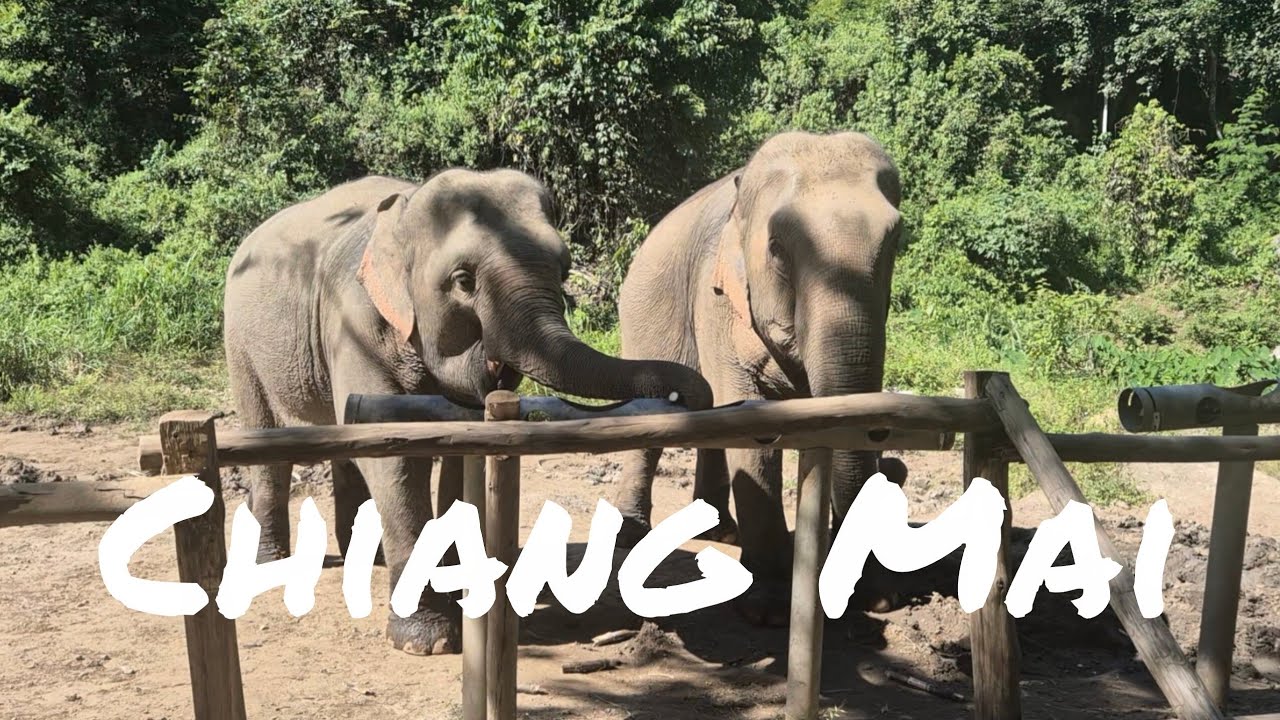 Chiang Mai! Elephants Sanctuary, The Highest Point In Thailand, Sticky Waterfalls & More