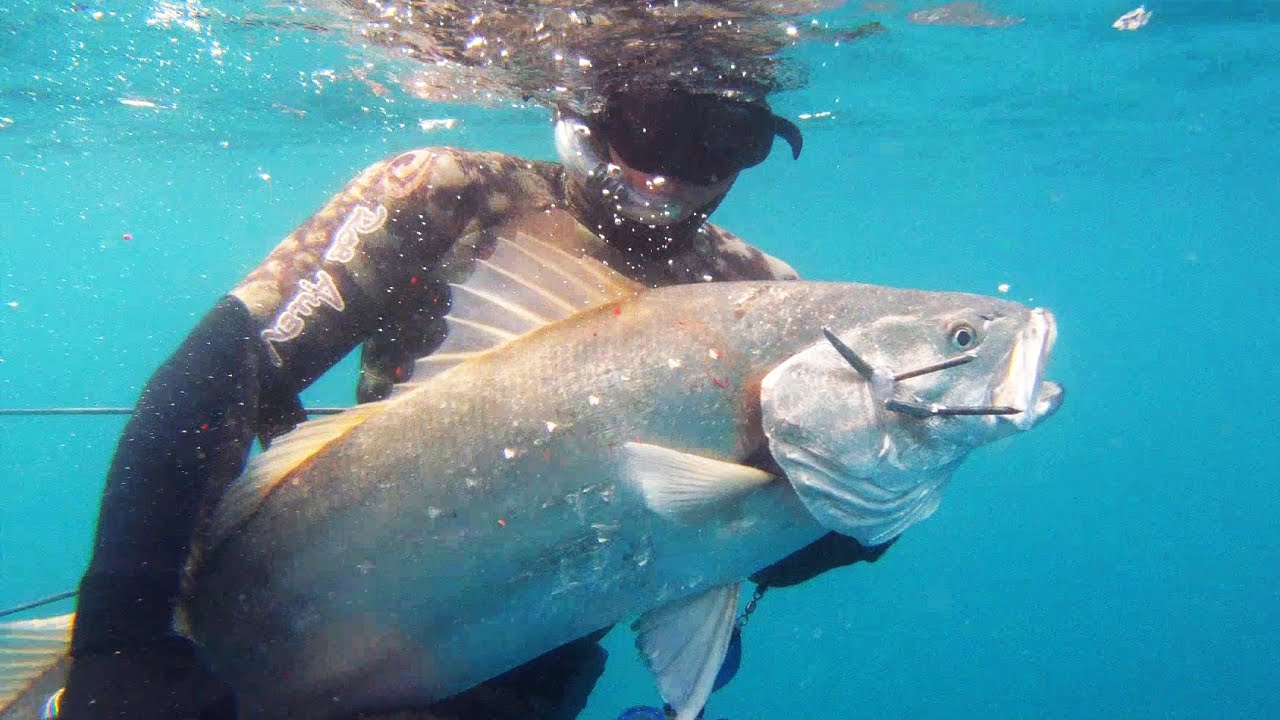 Spearfishing The Transkei