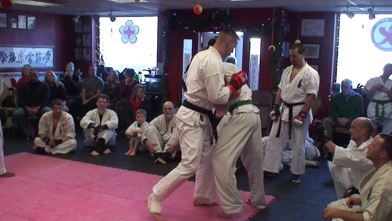 Highlights from MMA Fighter Don Walton's Kyokushin Brown Belt Test