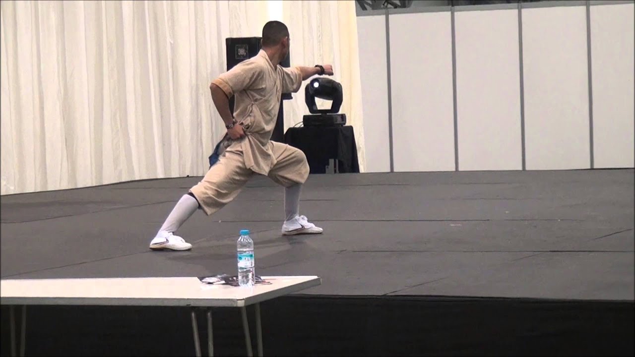 TIEN HOANG SHAOLIN 9 SECTION CHAIN WHIP