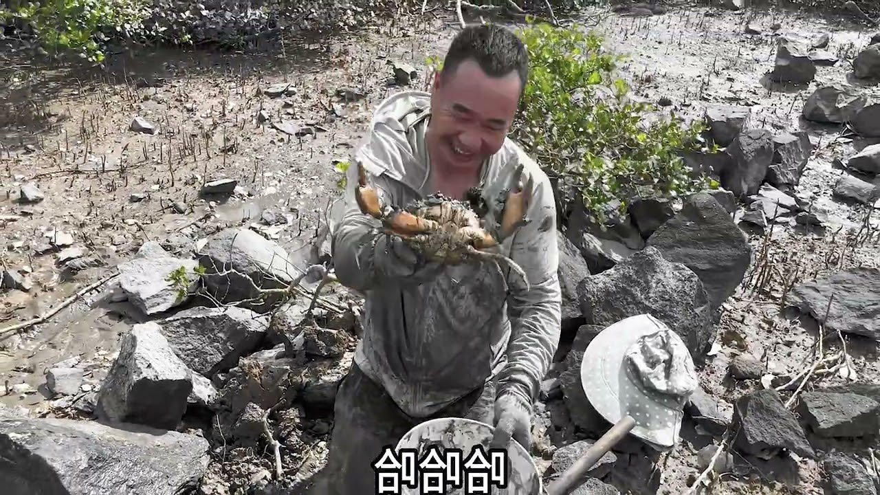玉平为了生活顶着烈日到红树林偶遇蟹王、一身泥泞看起来好狼狈！ #三农 #赶海 #螃蟹
