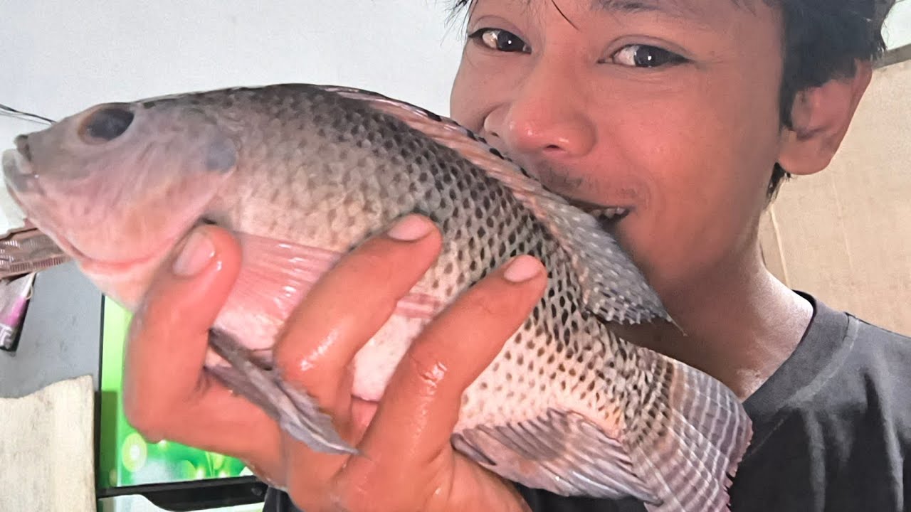 AKHIRNYA AKU TIDAK BONCOS LAGI DI SPOT INI GESS 😭😭!! Mancing nila malam hari!!! 
