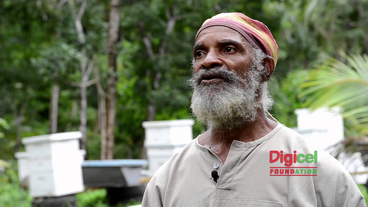 St.Thomas Bee Farmers' Co operative: A Passion for Bees