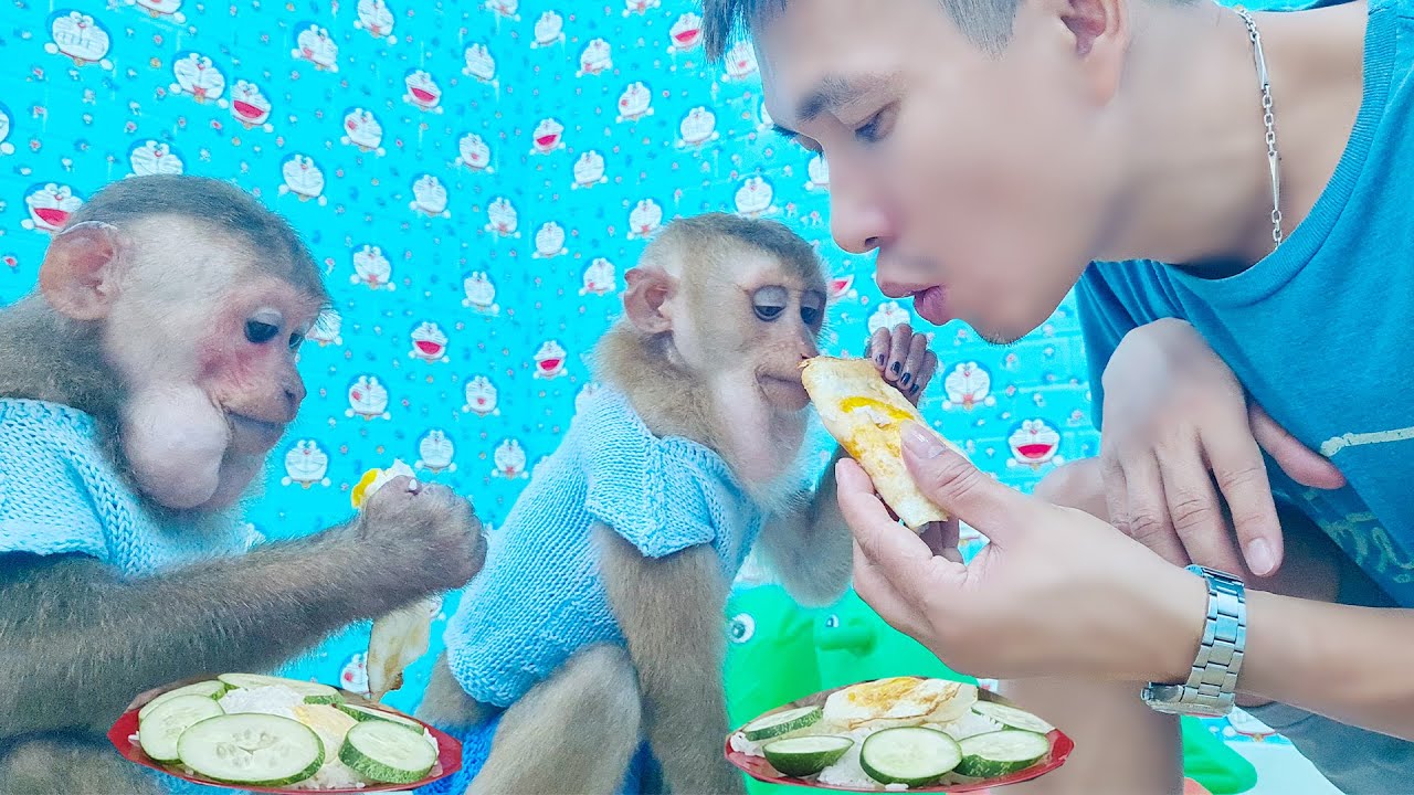 Dad Khai made fried eggs for Monkey Baby