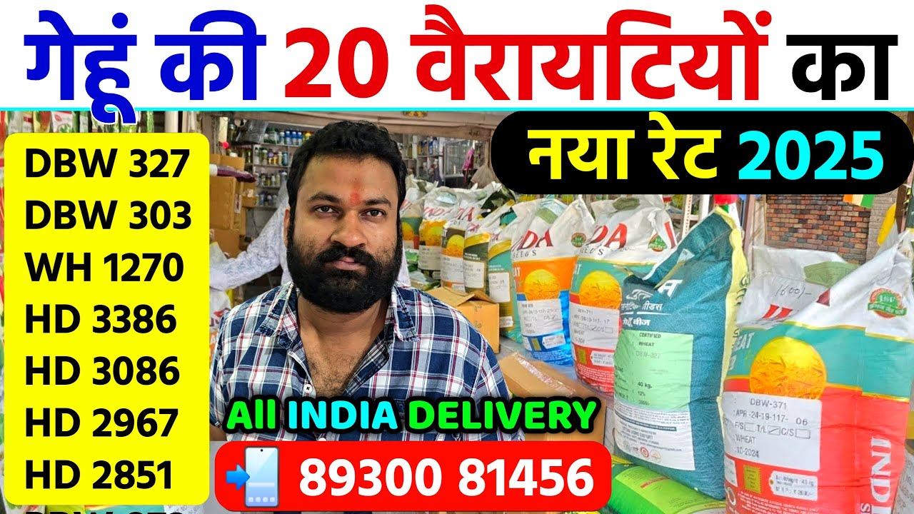गेहूं की टॉप 20 वैरायटियों का नया रेट 2025 | होम डिलीवरी | Gehu Ki Top Variety Rate List 2025