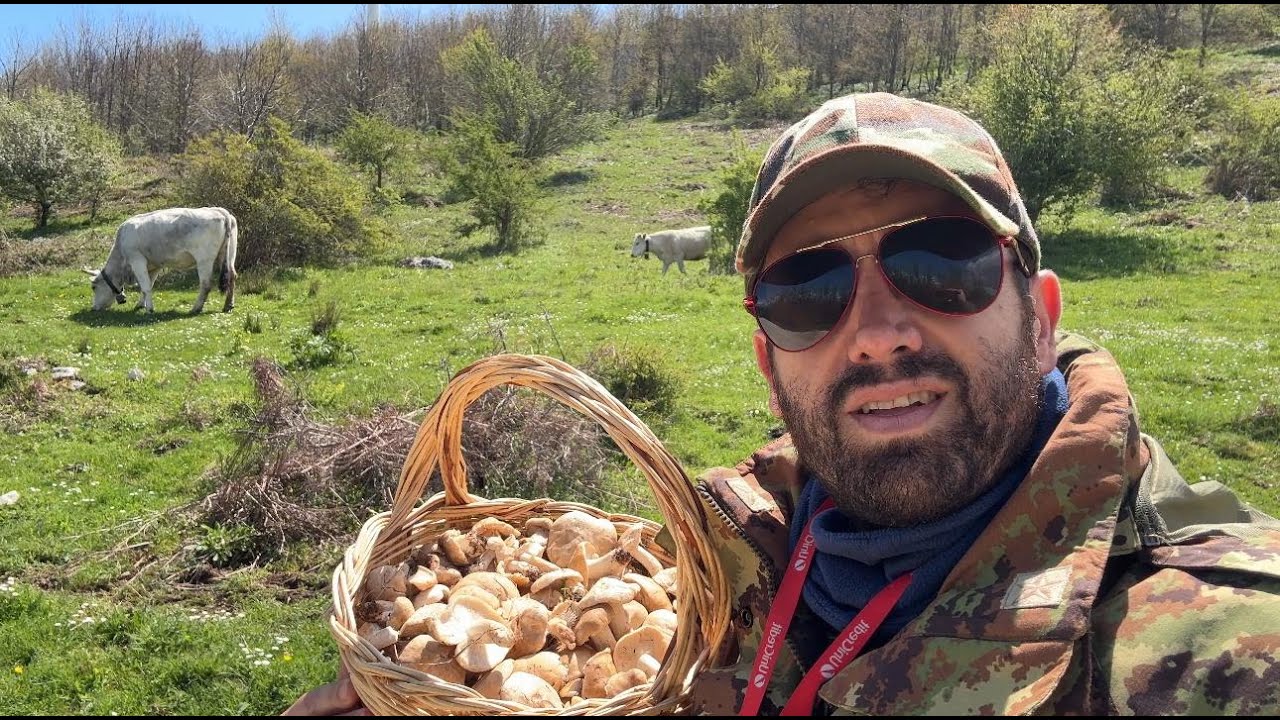 “Funghi Prugnoli: Buoni da Mangiare, Pericolosi da Cercare” Attenzione alle vipere