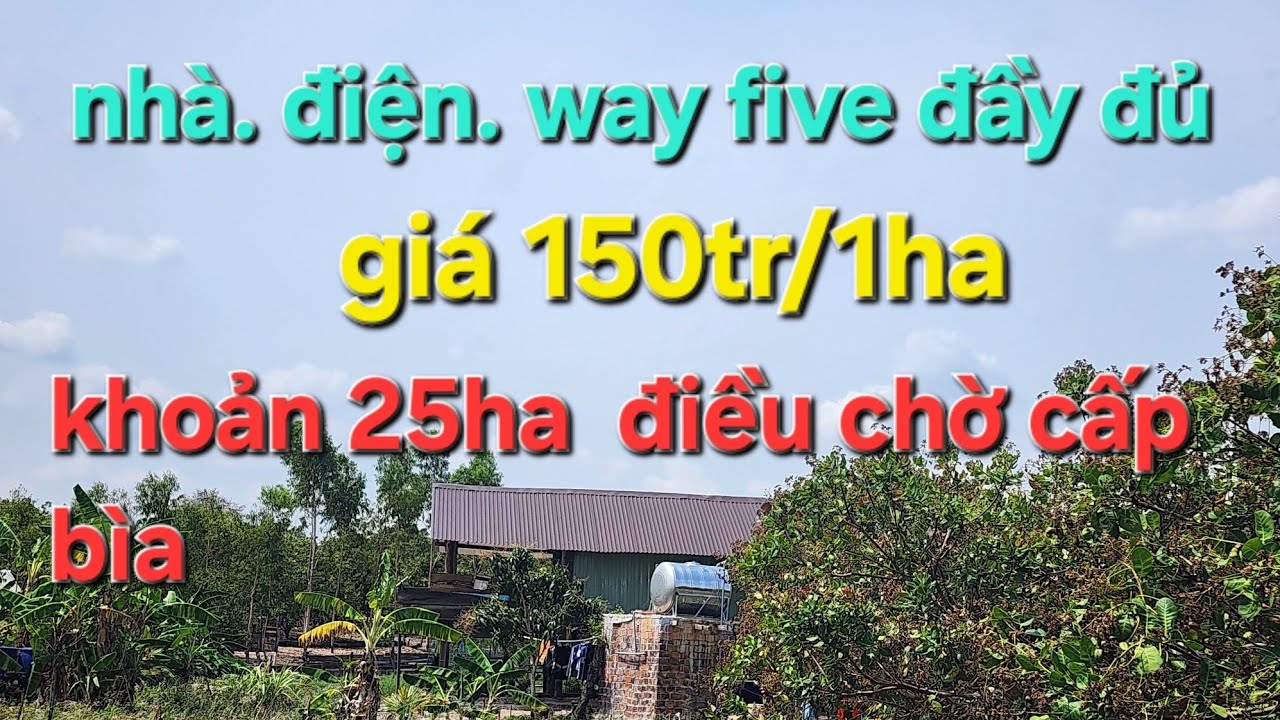 Khoản 25ha điều chờ cấp bìa. Giá 150tr/1ha .ACE quan tâm alô cho em ạ 