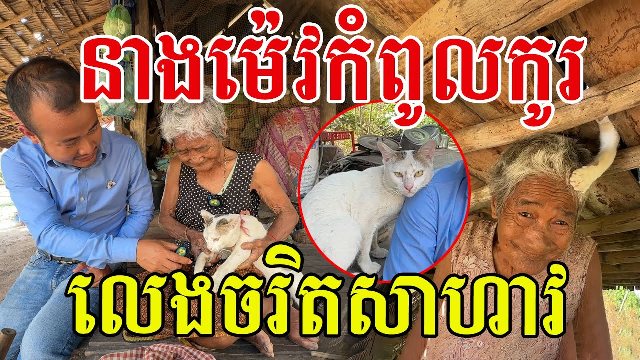 នាងម៉េវកំពូលកូរ លេងចរិតដល់ក គួរឱ្យស្រលាញ់