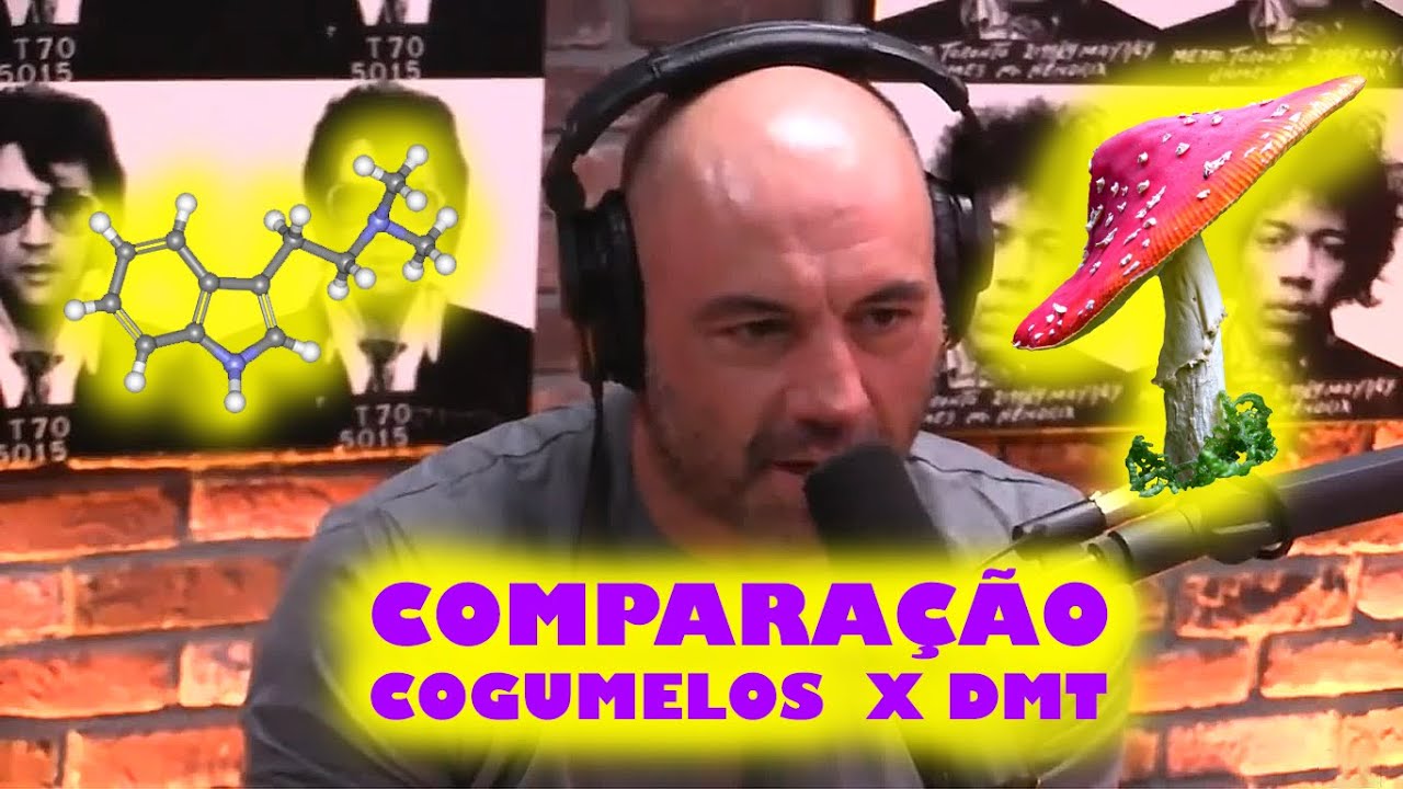Joe Rogan- Compara&ccedil;&atilde;o Cogumelos X DMT LEGENDADO