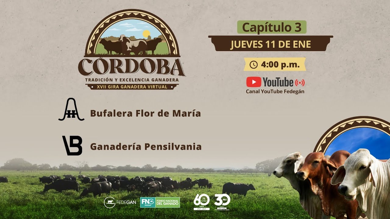 Cap 3 - Bufalera Flor de María y ganadería Pensilvania - Gira Virtual Ganadera Cordoba 2023