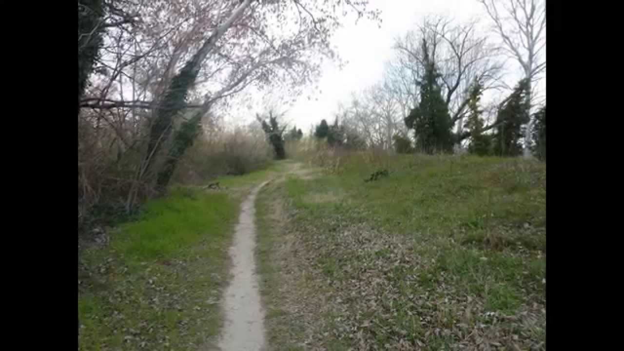 Les Berges du Vidourle de Marsillargues par Dédé28