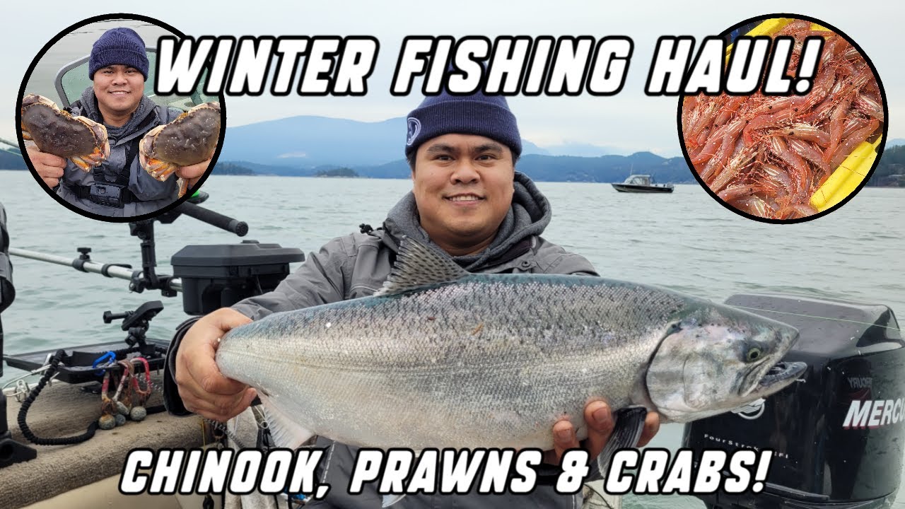 Winter Chinook, Spot Prawns & Crabs. West Coast BC Fishing. We made Ebi Sashimi on the boat!