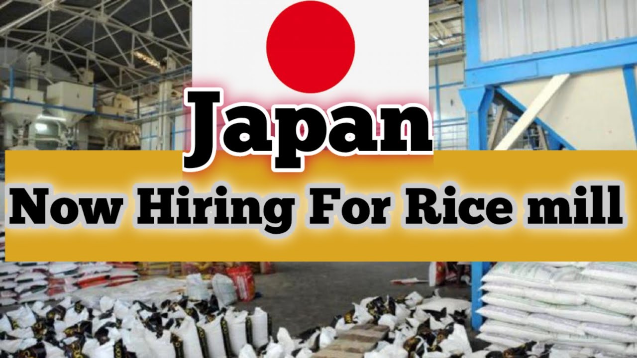 🇯🇵Latest Job in Rice mill in Japan ।।Good Salary, Apartment provide by company, transportation paid