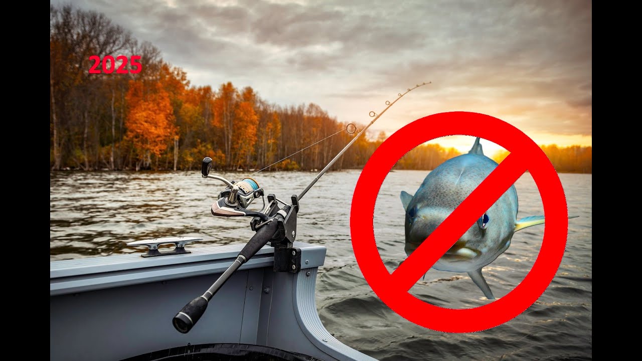 What you need to know when fishing in denmark 2025