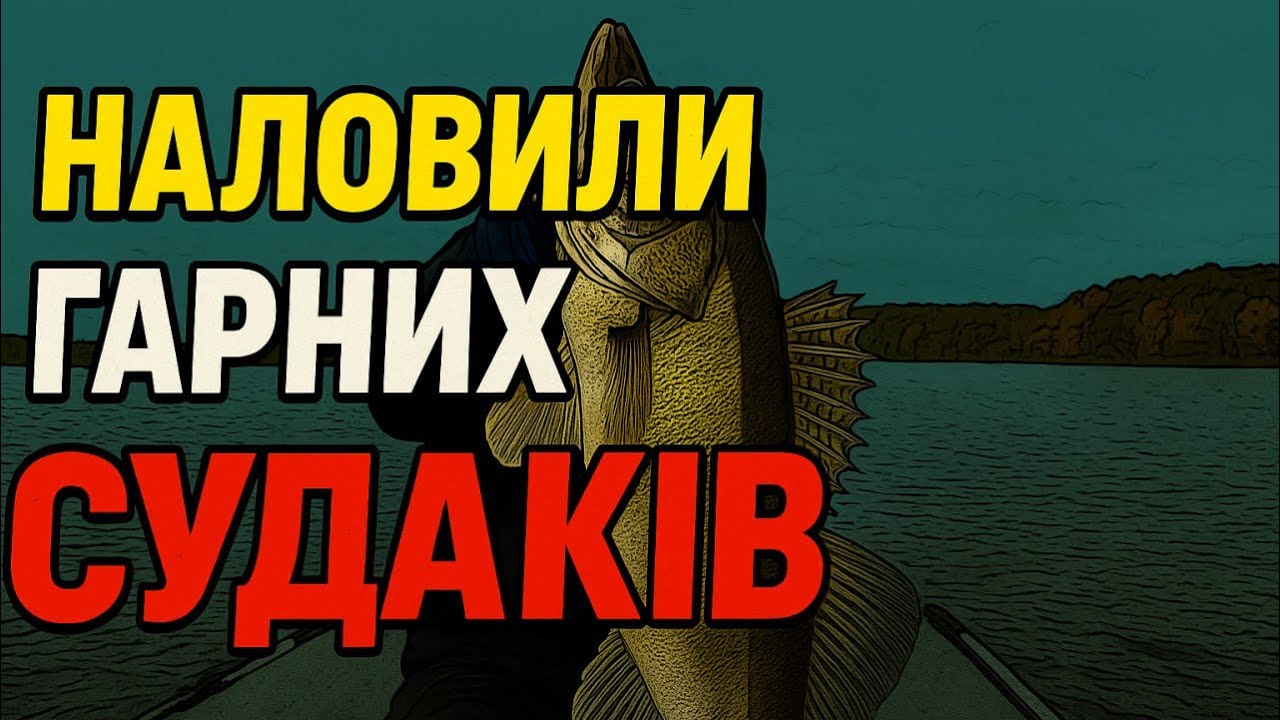 🐊 Angry Baits против судака &ndash; жестокая битва и безумный результат!