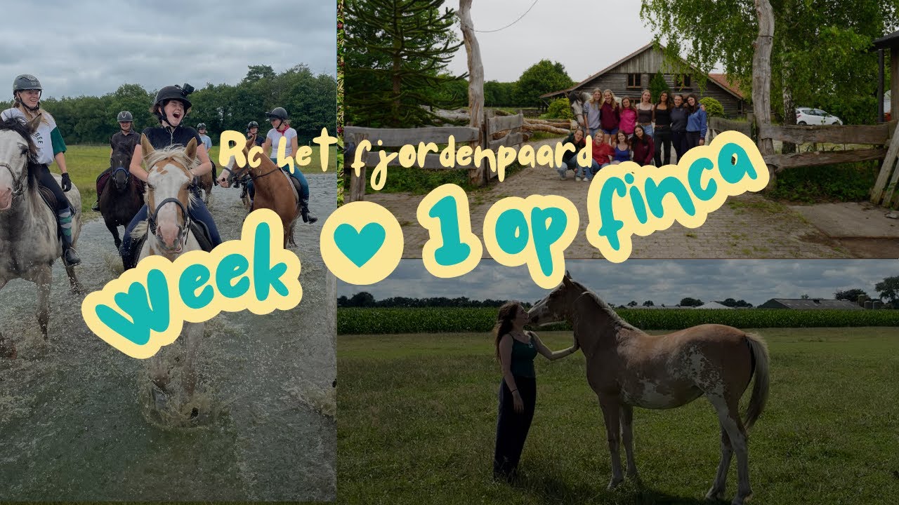 RC Het Fjordenpaard week 1 2025