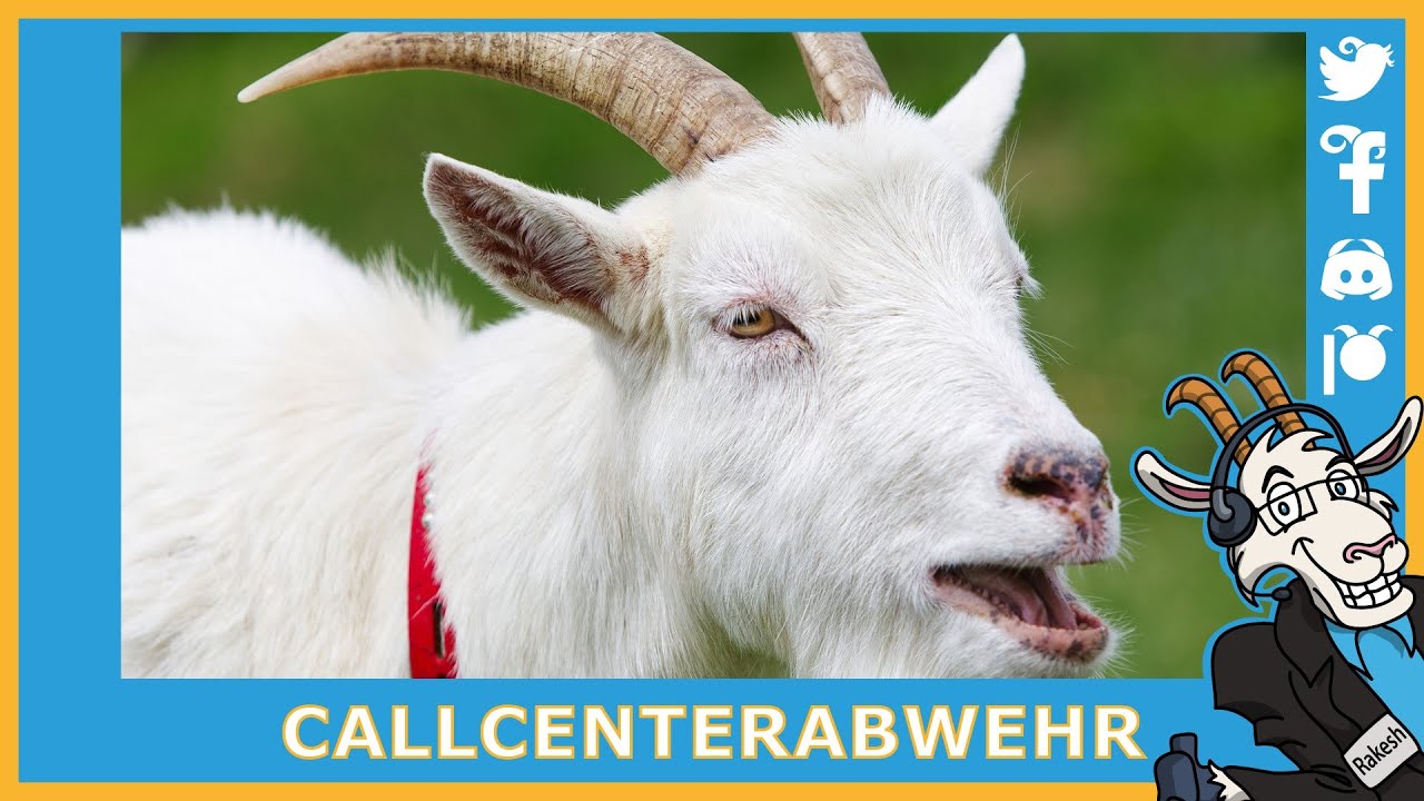 Mit der Callcenter Tussi auf Ziegen aufpassen 🐐🐐
