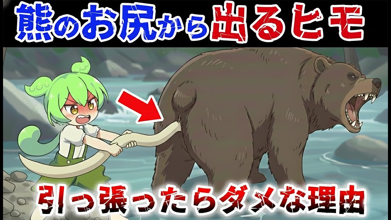 【緊急解説】熊のお尻からなぜ２mのヒモが出るのか？【ずんだもん解説/  クマ出没 / 熊被害】