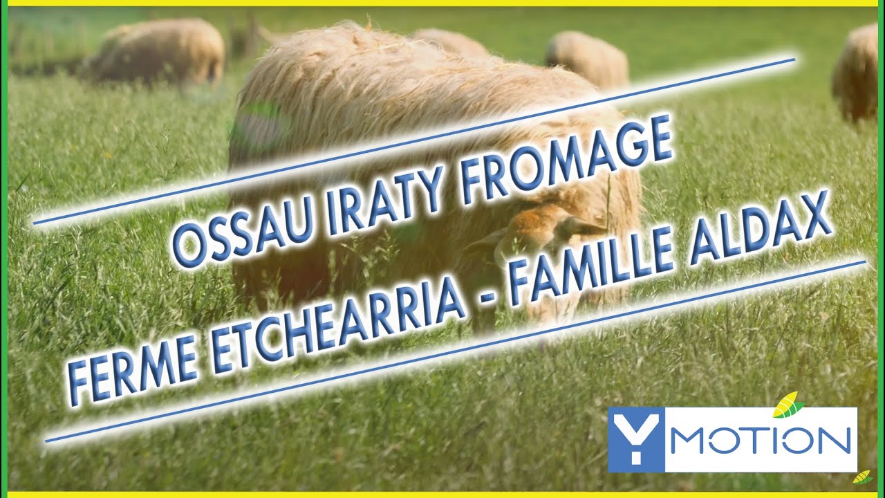 Ossau Iraty Fromage ALDAX By YMOTION