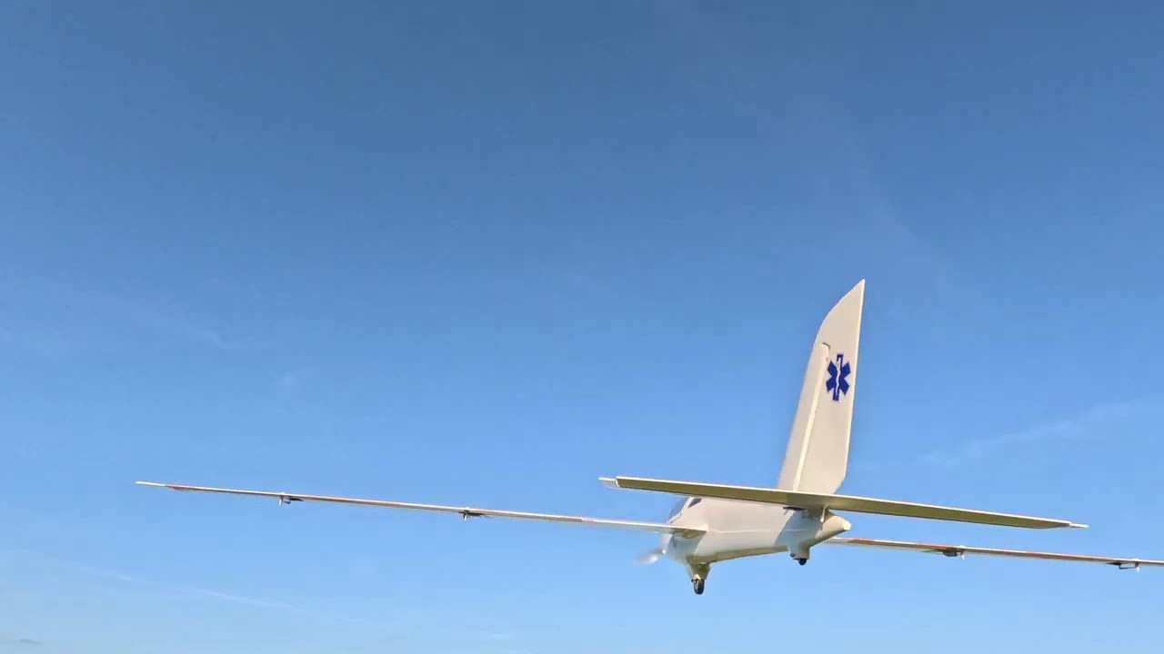 Fly Fly 3 Meter Fox Maiden 2024