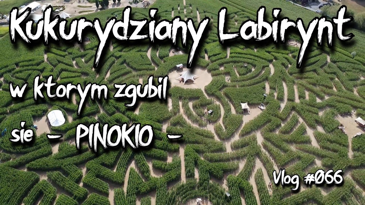 Kukurydziany Labirynt w którym zgubił się Pinokio vlog #066