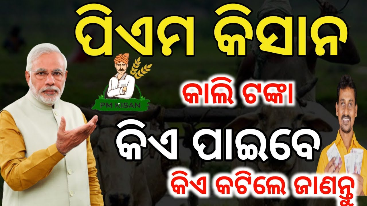 କାଲି ପିଏମ କିସାନ ଟଙ୍କା✅କିଏ ପାଇବ ଦେଖନ୍ତୁ🛑PM kishan 22th Installment release Tommorow/PM kishan status 