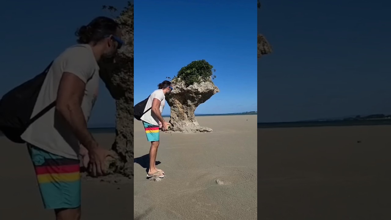 Most Dangerous Death Trap 😱 #stone #traps