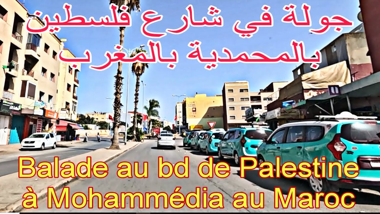 جولة في شارع فلسطين بالمحمدية بالمغرب    A tour of Palestine Street in Mohammedia, Morocco